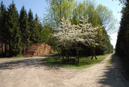 Pension Haus Talblick Winterberg Bagian luar foto